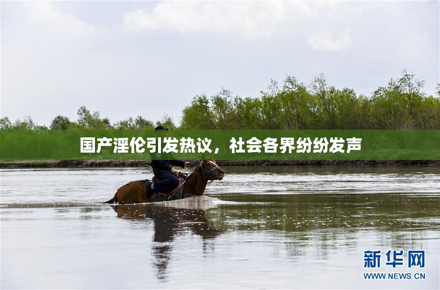 国产淫伦引发热议，社会各界纷纷发声
