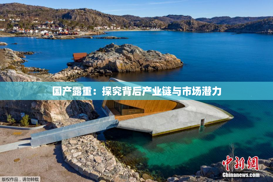国产露重：探究背后产业链与市场潜力