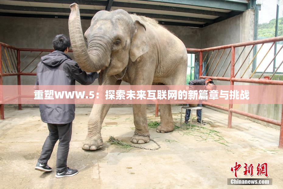 重塑WWW.5：探索未来互联网的新篇章与挑战