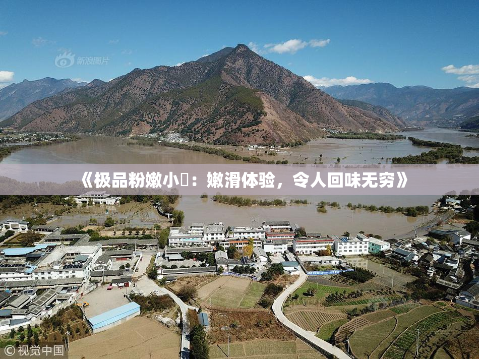 《极品粉嫩小泬：嫩滑体验，令人回味无穷》
