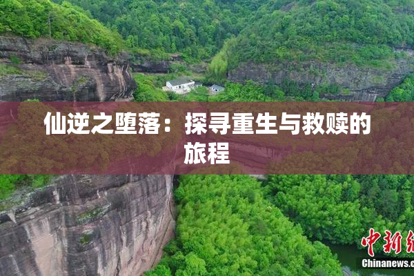 仙逆之堕落：探寻重生与救赎的旅程