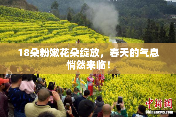 18朵粉嫩花朵绽放，春天的气息悄然来临！