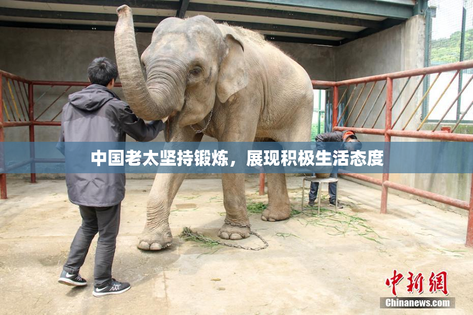 中国老太坚持锻炼，展现积极生活态度