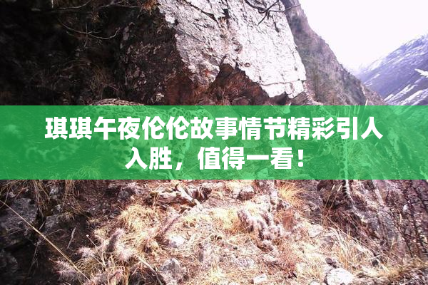 琪琪午夜伦伦故事情节精彩引人入胜，值得一看！