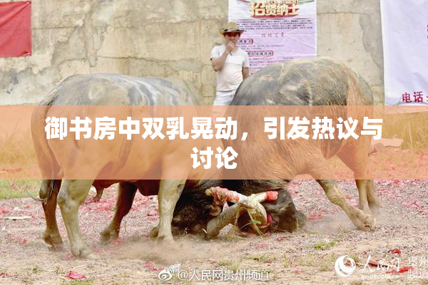 御书房中双乳晃动，引发热议与讨论