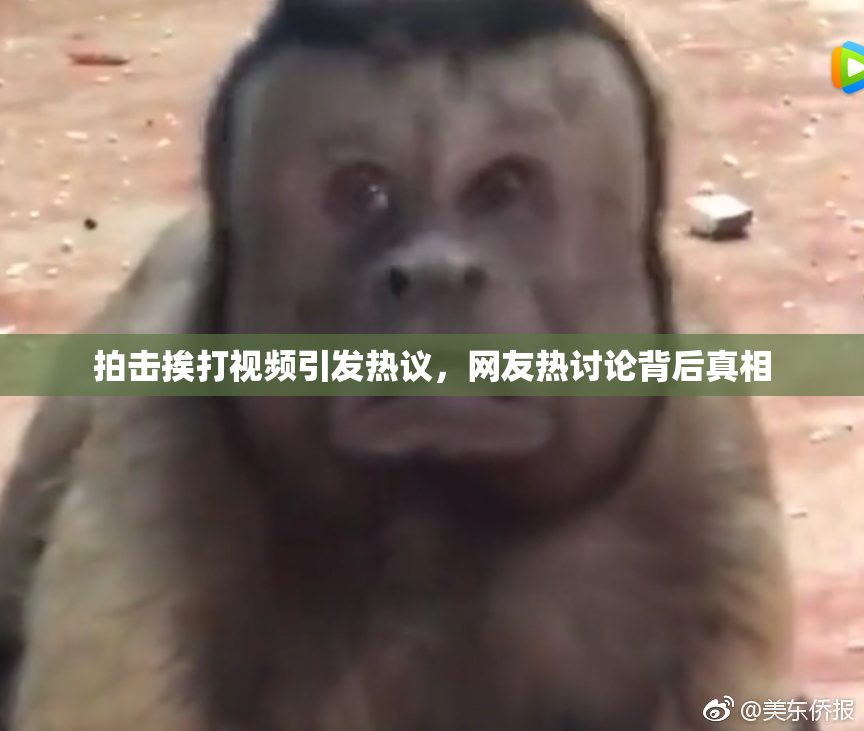 拍击挨打视频引发热议，网友热讨论背后真相
