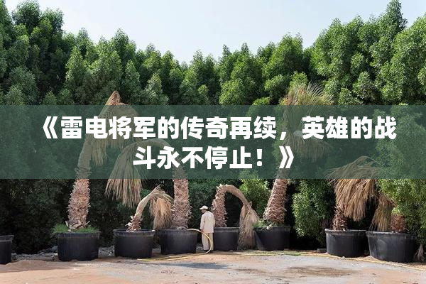 《雷电将军的传奇再续，英雄的战斗永不停止！》
