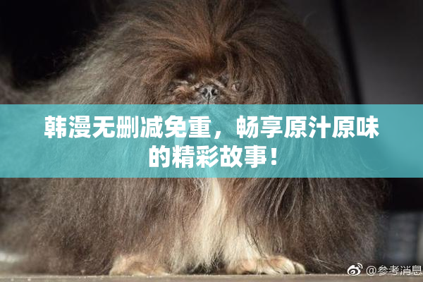 韩漫无删减免重，畅享原汁原味的精彩故事！