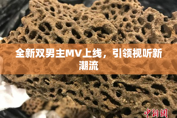 全新双男主MV上线，引领视听新潮流