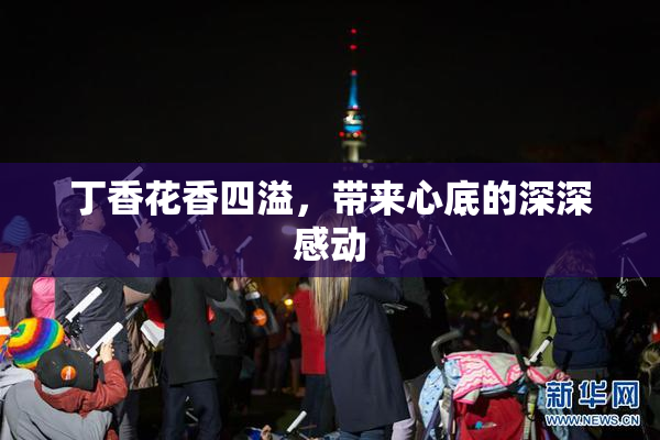 丁香花香四溢，带来心底的深深感动