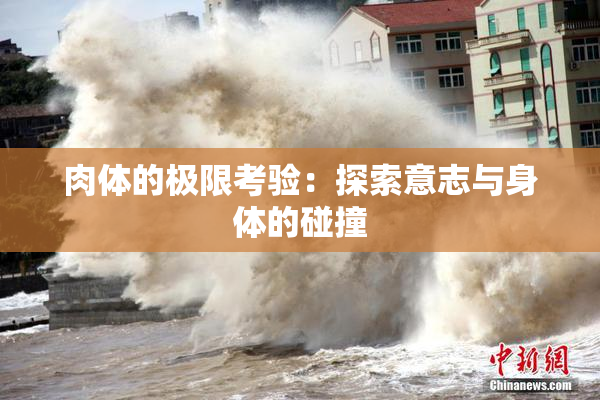 肉体的极限考验：探索意志与身体的碰撞