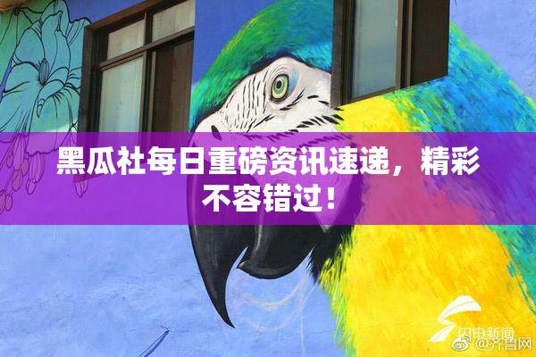黑瓜社每日重磅资讯速递，精彩不容错过！