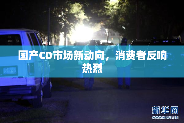 国产CD市场新动向，消费者反响热烈