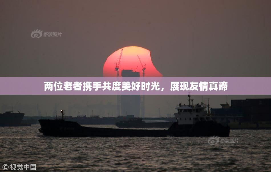 两位老者携手共度美好时光，展现友情真谛