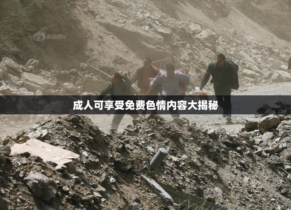 成人可享受免费色情内容大揭秘