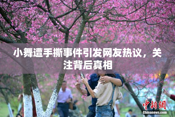 小舞遭手撕事件引发网友热议，关注背后真相