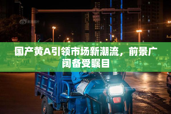 国产黄A引领市场新潮流，前景广阔备受瞩目