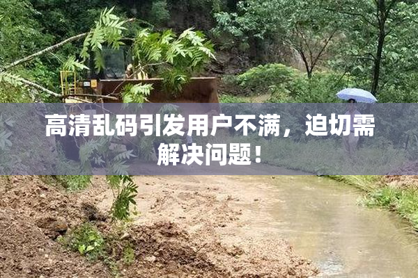 高清乱码引发用户不满，迫切需解决问题！