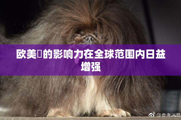 欧美巜的影响力在全球范围内日益增强