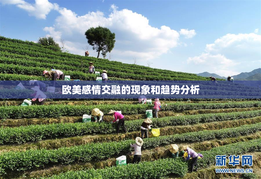 欧美感情交融的现象和趋势分析
