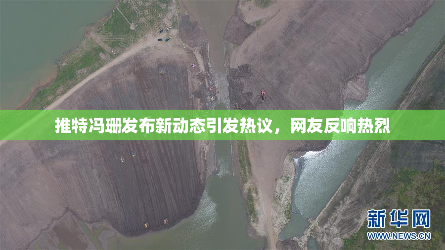 推特冯珊发布新动态引发热议，网友反响热烈