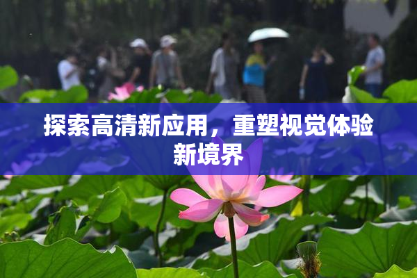 探索高清新应用，重塑视觉体验新境界