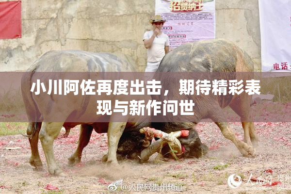 小川阿佐再度出击，期待精彩表现与新作问世