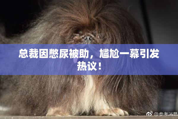 总裁因憋尿被助，尴尬一幕引发热议！
