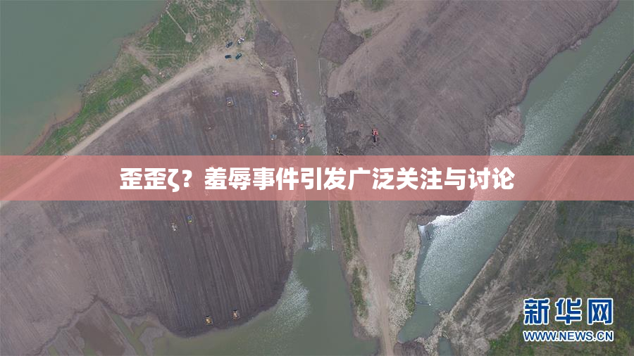 歪歪ζ？羞辱事件引发广泛关注与讨论