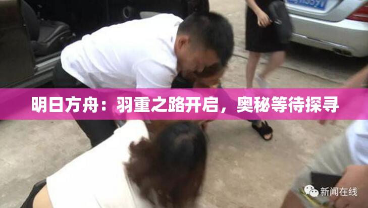 明日方舟：羽重之路开启，奥秘等待探寻