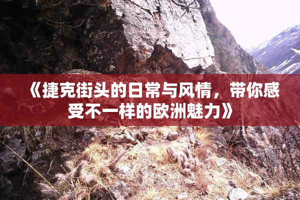 《捷克街头的日常与风情，带你感受不一样的欧洲魅力》
