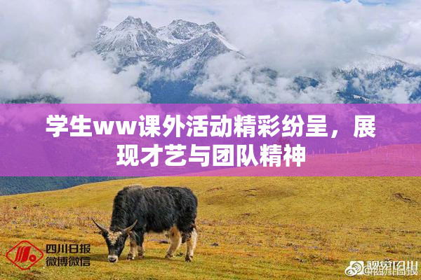学生ww课外活动精彩纷呈，展现才艺与团队精神