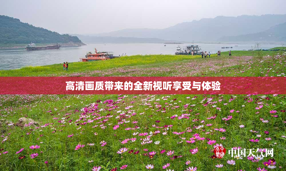 高清画质带来的全新视听享受与体验