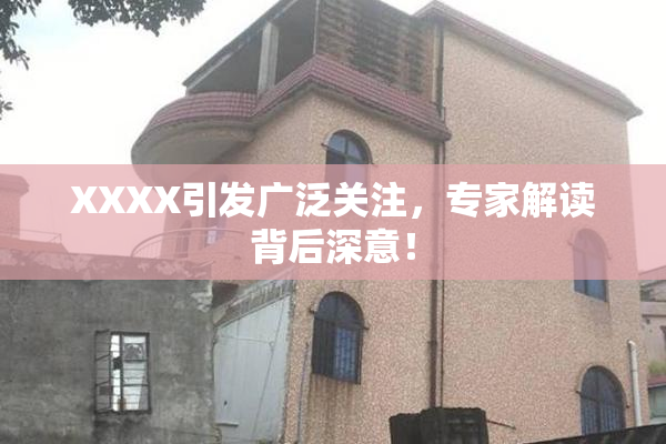 XXXX引发广泛关注，专家解读背后深意！