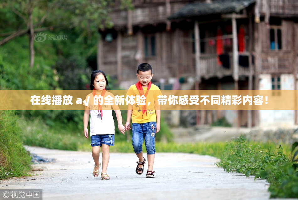 在线播放 a√ 的全新体验，带你感受不同精彩内容！