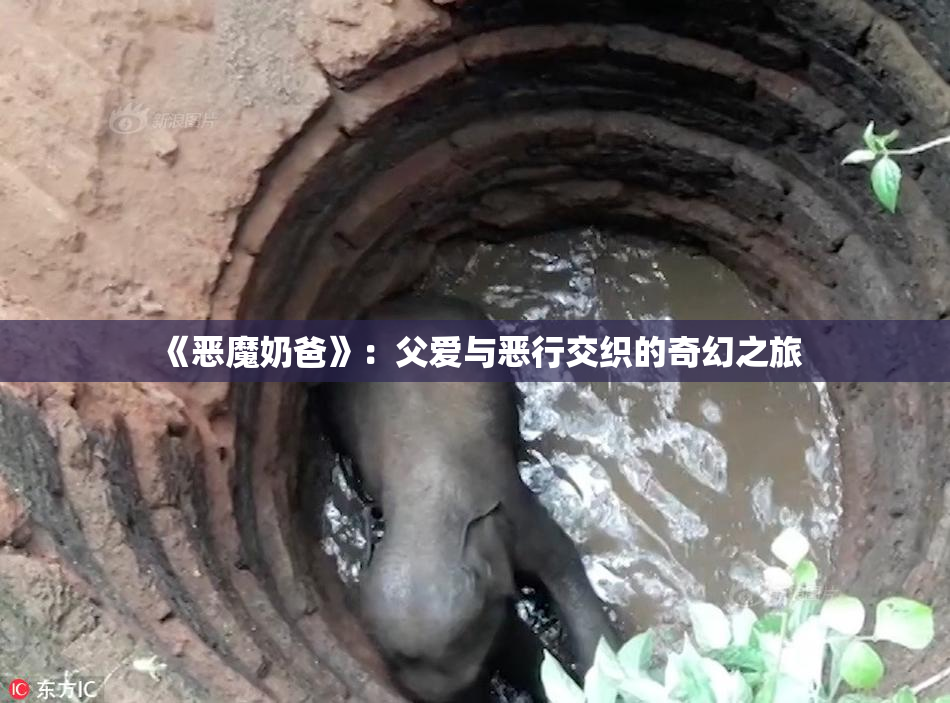《恶魔奶爸》：父爱与恶行交织的奇幻之旅