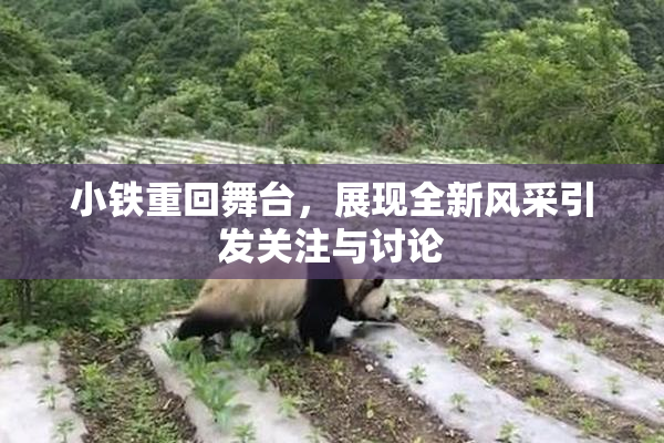 小铁重回舞台，展现全新风采引发关注与讨论