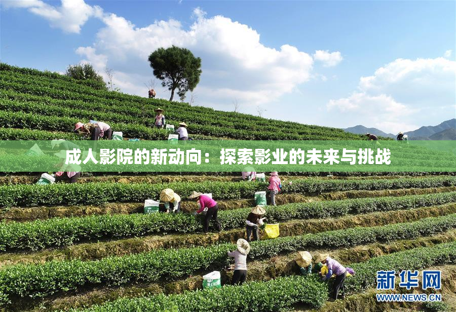 成人影院的新动向：探索影业的未来与挑战
