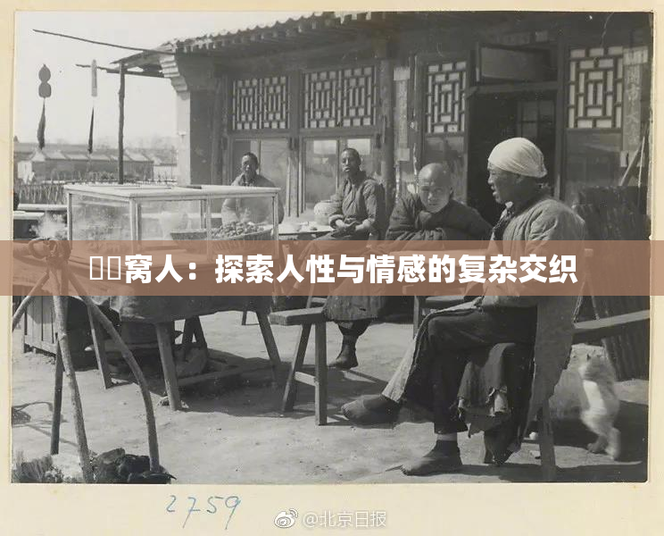妺妺窝人：探索人性与情感的复杂交织