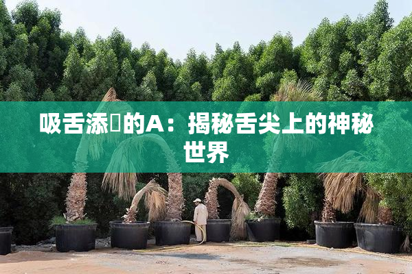 吸舌添泬的A：揭秘舌尖上的神秘世界