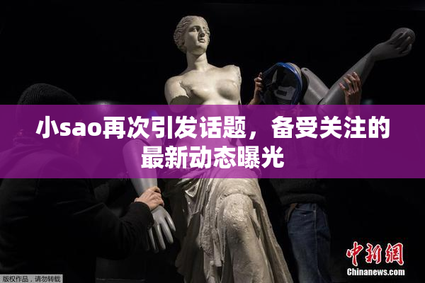 小sao再次引发话题，备受关注的最新动态曝光