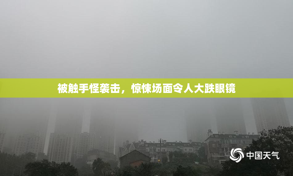 被触手怪袭击，惊悚场面令人大跌眼镜