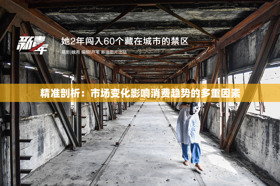 精准剖析：市场变化影响消费趋势的多重因素