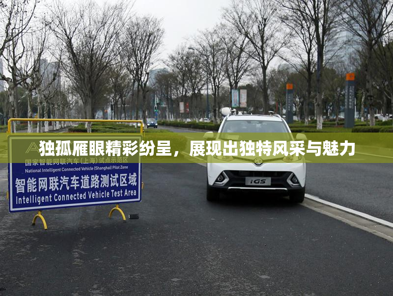 独孤雁眼精彩纷呈，展现出独特风采与魅力