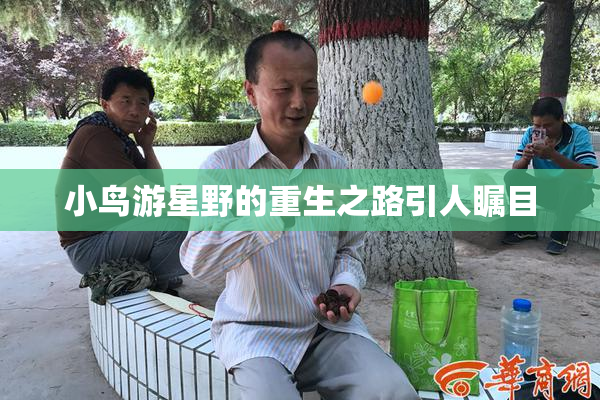 小鸟游星野的重生之路引人瞩目