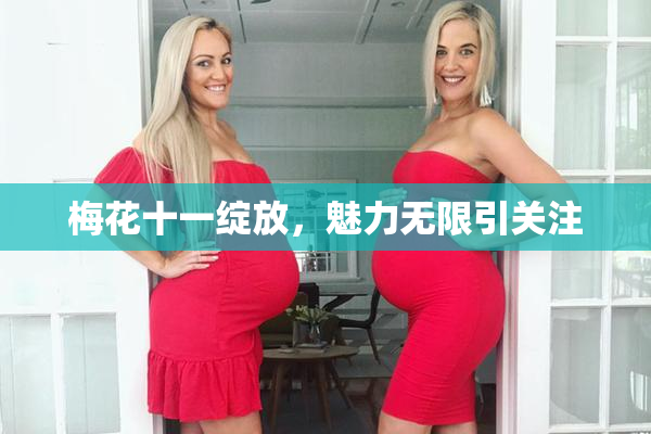 梅花十一绽放，魅力无限引关注