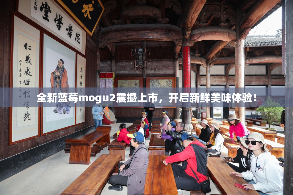 全新蓝莓mogu2震撼上市，开启新鲜美味体验！