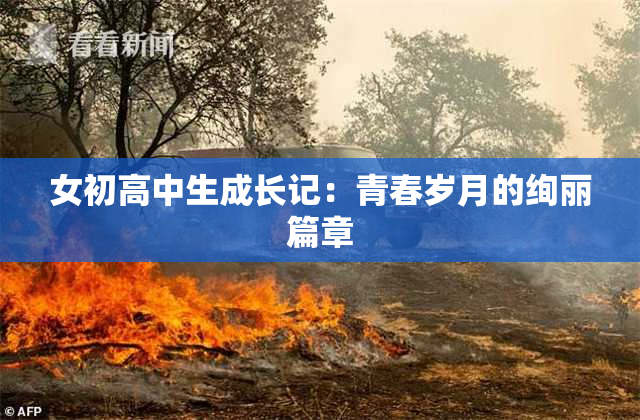 女初高中生成长记：青春岁月的绚丽篇章