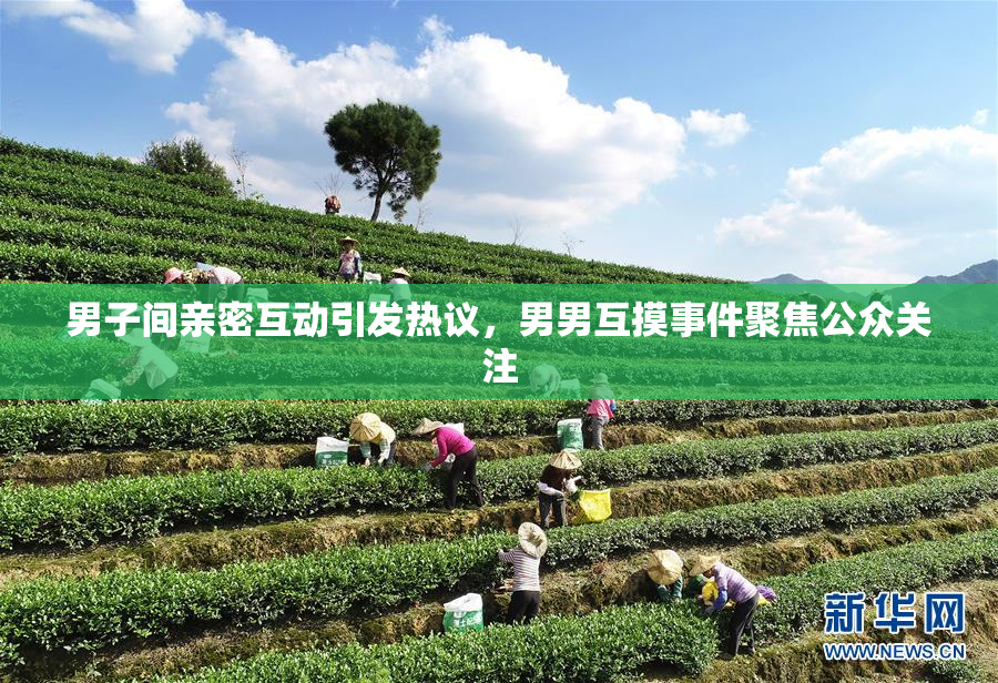 男子间亲密互动引发热议，男男互摸事件聚焦公众关注