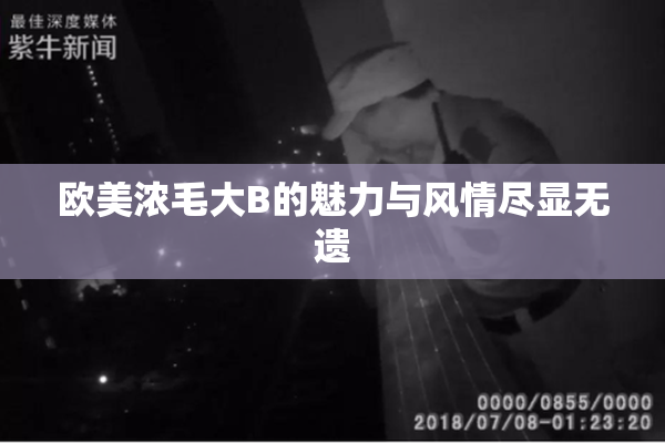 欧美浓毛大B的魅力与风情尽显无遗